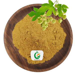 Ekstrak Bunga Grapiterco Humulus Lupulu Hops Ekstrak Bunga Xanthohumol Bubuk Hops Ekstrak Bunga - Product Image 1