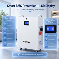 Batterie LFP Hysonn haute intensité 11,77 kWh 51,2 V 230 Ah murale pour stockage solaire domestique ESS et livraison rapide OEM