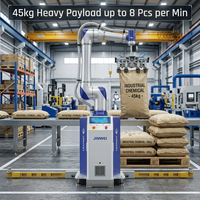 JINWEI DS-CR45 45kg 1947mm IP67 Palettiseur de cartons CE UL NSF 8 palettes/min ISO 10218 Cobot Entrepôt Palettes de fin de ligne 1500x1500mm