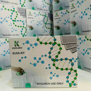 Набор для IL-13 ELISA человека, Interleukin-13, 96 тестов, высокая чувствительность, для исследования культивирования клеток плазмы сыворотки - Product Image 1