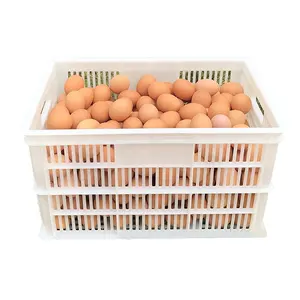 야채 계란 수송 바구니 계란 상자 플라스틱