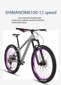 Bicicleta de Montaña de Aluminio 6069 con Frenos de Disco, 12 Velocidades, Ruedas de 17 Pulgadas, Cuadro de Aluminio KZGY-WR Ligero para Adultos - Product Image 3