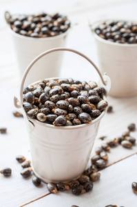 Granos de Ricino con Alto Contenido de Biocombustible, Aceite Pesado, Uso Agrícola e Industrial, Proveedor a Granel, Exportador, Apex Rim International, Gujarat - Product Image 2