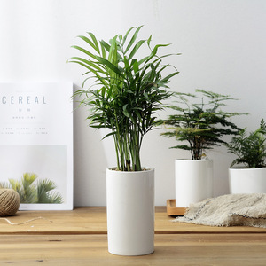 <span class=keywords><strong>Pot</strong></span> <span class=keywords><strong>de</strong></span> Fleurs en Céramique Blanche Design Personnalisé pour Bureau, Hôtel, Table, Jardin, <span class=keywords><strong>Balcon</strong></span>, Simple Européen, pour Succulentes - Product Image 4