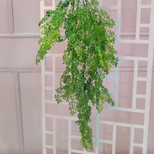 QIHAO Vignes Artificielles 100cm 200cm Haute Simulation Plante Murale Décorative d'Intérieur - Product Image 2