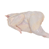 Vente en gros Pilons de poulet frais congelés Viande de volaille Halal IQF en sacs de cuisses de poulet en vrac
