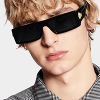 Lunettes de soleil de luxe tendance, style Hip Hop, surdimensionnées, carrées et rectangulaires, avec motif Lion, pour l'extérieur, la conduite, les voyages et les soirées
