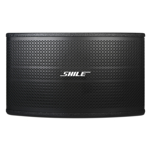 Altavoz activo para exteriores con sistema de sonido Dj de gran potencia de 10 pulgadas y 100W profesional de la venta al aire libre - Product Image 5