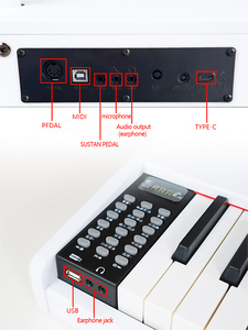 Tastiera Elettronica a 88 <span class=keywords><strong>Tasti</strong></span> con Martelletti Pesanti, Pedale Acustico, Display LED Digitale a 3 Cifre, 1000 Toni, Altoparlante Integrato Multifunzione - Product Image 5