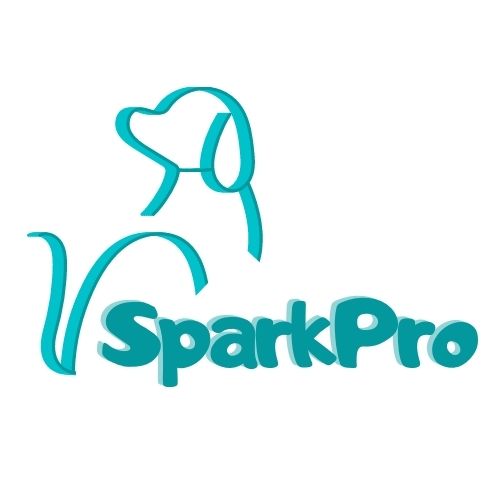 Dongguan Spark Precision Manufacturing Technology Co., Ltd. logo
