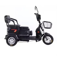 Véhicule électrique certifié CE 48V pour 2 personnes, scooter électrique anti-retournement pour personnes âgées, pour les déplacements quotidiens