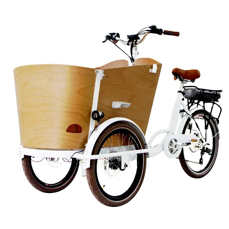 2024 Elektrisches Dreirad-Cargo-Bike Retro-Familien genossen neues 3-Rad-Cargo-Elektrofahrrad Electric Family Cargo Bike