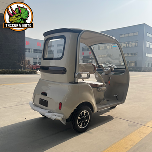 Triciclo Eléctrico Silencioso de Carrocería Cerrada para 3 Pasajeros, Eje Trasero Integrado, Engranajes de Precisión, Gran Espacio de Almacenamiento 2260x1065x1665mm - Product Image 6