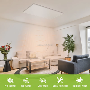 Calentador Eléctrico de Pared o Techo de 110v/240v, Paneles de Calefacción Infrarrojos para el Hogar, 40 Grados para Sala de Yoga, 660W - Product Image 3