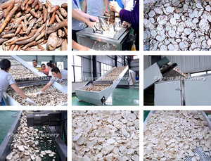 Flysun Industrial Automatic PLC Gear Mesh Belt Drying Machine for Carrots Cassava White Radish-304 Stainless Steel High - Product Image 3