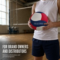 Ballon de volley-ball sur mesure taille 5 bleu blanc rouge en PU souple thermocollé 260-280g OEM Vente en gros Qualité stable Fabricant