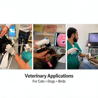Caméra endoscopique vétérinaire sans fil 1080P pour endoscope rigide avec batterie Li-Ion pour diagnostic ORL