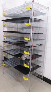 Equipamento para Avicultura: Gaiola Comercial para Codornas Tipo H de 6 Camadas para Venda - Modelo HJ-QC400A - Product Image 4