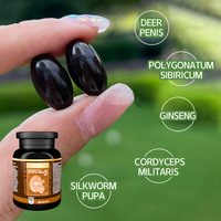 Capsules de ginseng et de croton pour la vitalité masculine, soutien immunitaire et gestion de l'énergie, gélules molles pour adultes, vente en gros