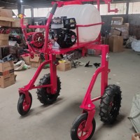 Pulvérisateur agricole autopropulsé à 4 roues, essence/diesel, poussé à la main, haute pression, large portée, pour l'Afrique