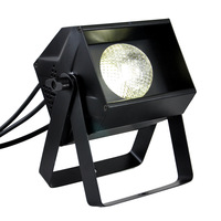 Mini rgb 100W Dmx 512 COB LED Par peut s'allumer pour la lumière de mariage de salle de bal de théâtre de scène