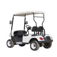 Mini voiturette de golf électrique simple 48V, buggy club 2 places directement vendu par le fabricant de Chine
