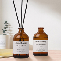 100ml 3.3oz bouteille en verre de luxe diffuseur de bâton de roseau parfum de maison arôme huiles de parfum diffuseur de roseau avec bouchon