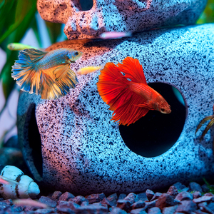 Stenen <span class=keywords><strong>Aquarium</strong></span> Visbak Landschapsarchitectuur Decoratie Paars Zand Vis Garnalen Schuilhuis - Product Image 4