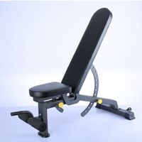 Banc d'entraînement réglable multifonctionnel de musculation de forme physique professionnel pour le gymnase