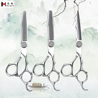 Ciseaux de coiffure portables de haute qualité Meilleur prix Ciseaux de beauté en acier inoxydable avec manche en acier à lames émoussées tranchantes