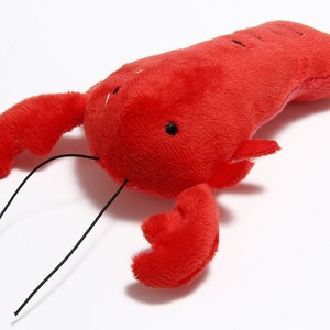 Lynpet <span class=keywords><strong>HELLOMOON</strong></span> vente en gros de jouets en peluche personnalisés pour chats et chiens-jouet de nettoyage des dents et des grincements - Product Image 6