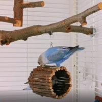 Xuan Feng Balançoire en bois de pivoine et de pomme, écologique, jouets classiques pour oiseaux pour perroquets - Utilisation intérieure et extérieure, pour le jeu et éviter l'escalade sur les hamacs