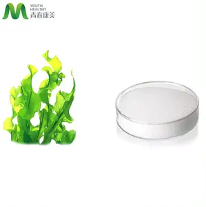 Bulk Sodium Alginate Powder