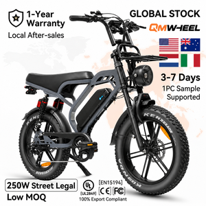 QMHEEL V20Limited 48V Electric Bike Electric City Bike Lithium Battery Distributor Supply for Outdoor Channel US AU EU Stock - Product Image 1