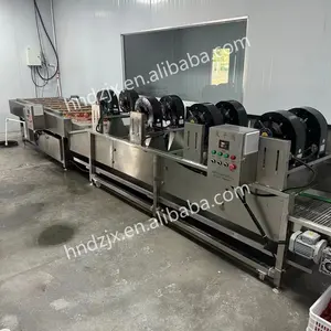 DZJX grande échelle fruits raisin huître argousier dattes fraîches palmier dattes Machine de nettoyage chou Machine à laver industrielle