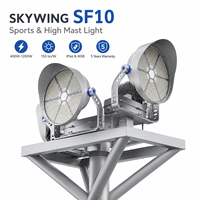 Projecteur LED professionnel à mât haut, angles de faisceau multiples, gradation DALI/DMX, garantie 5 ans, protection contre les surtensions 10-20KV pour le sport
