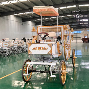 รถม้าฟักทองไฟฟ้าสุดหรู รถม้าราชวงศ์ รถม้าสำหรับงานแต่งงาน ขาย - Product Image 5