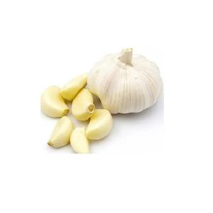 <span class=keywords><strong>Ail</strong></span> frais 2025 nouvelle culture <span class=keywords><strong>ail</strong></span> blanc de haute qualité en vrac <span class=keywords><strong>non</strong></span> <span class=keywords><strong>pelé</strong></span> 10kg sac en maille exportation - Product Image 3