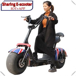 2026 Mew Citycoco Bicicleta Eléctrica al por Mayor/Ebike/Scooter Eléctrico con Marco de Acero - Product Image 6