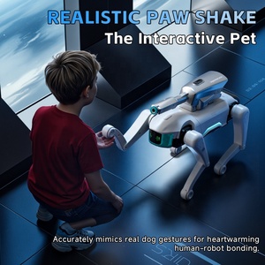 <span class=keywords><strong>Robot</strong></span> chien éducatif 4DRC Y16, jouet interactif télécommandé 2.4G, <span class=keywords><strong>robot</strong></span> bionique électrique intelligent avec pulvérisation de brume, chansons et lumières - Product Image 6