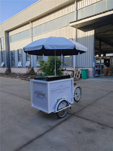 भोजन वेंडिंग ट्राइसाइकिल गर्म कुत्ते आइसक्रीम कॉफी मोबाइल बिक्री सेवा कैबिनेट लोड बाइक ट्रॉली - Product Image 6