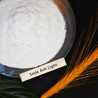 Carbonate de soude léger 99,2 % min. Qualité industrielle supérieure CAS 497-19-8 pour synthèses chimiques en sac jumbo de 1000 kg