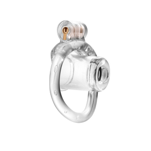Chastity Cage Presente Brinquedos Sexuais Masculinos Chastity Devices Bondage Cock Cage para Homens Controle de ereção do pênis <span class=keywords><strong>Sex</strong></span> <span class=keywords><strong>Toys</strong></span> for <span class=keywords><strong>Men</strong></span> Gift - Product Image 4