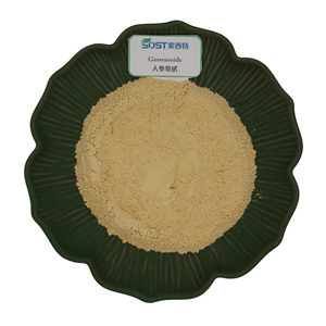 Siberian Ginseng Root <strong>Extract</strong> <strong>Powder</strong> 1%-80% Ginsenosides UV Tested Drum Packaging - Product Image 2