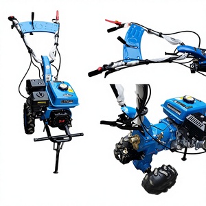 Cultivadora de <span class=keywords><strong>gasolina</strong></span> de 9 caballos de fuerza de la marca Tenglong de alta calidad, de fábrica china, con 1 <span class=keywords><strong>a</strong></span>ño de garantí<span class=keywords><strong>a</strong></span>. - Product Image 1