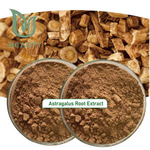 Polvo de extracto de raíz de astrágalo de alta calidad con certificado ISO, suplemento líquido a base de hierbas de 98% pureza, suministro a granel para la salud - Product Image 1