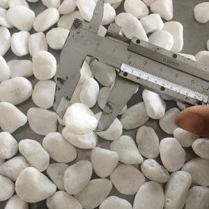 Pierres galets de couleur blanche naturelle, 5 pièces, pierres d'aménagement paysager pour décorer le jardin ou la maison - Product Image 1