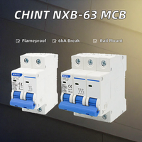 Disjoncteur différentiel Chint XB-63 2P CType magnétique simple 6kA 400V 50Hz pour usage domestique, protection contre les fuites, multi-spécifications, montage modulaire/sur rail, PA66