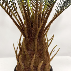 All'ingrosso su larga scala di simulazione verde pianta di ferro albero singolo ramo di cocco artificiale foglia di cocco decorazione interna <span class=keywords><strong>palma</strong></span> - Product Image 5