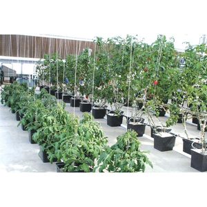 Quadrato nero di Plastica Bato Benna Olandese per Giardinaggio Serra Idroponica Sistema di Irrigazione - Product Image 5